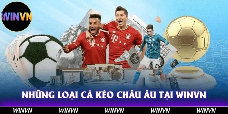 Những loại cá cược mà bạn cần biết khi tham gia kèo Châu Âu tại Winvn