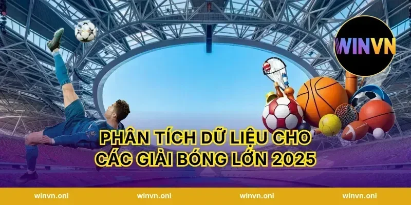 Phân tích dữ liệu cho Các giải bóng lớn 2025