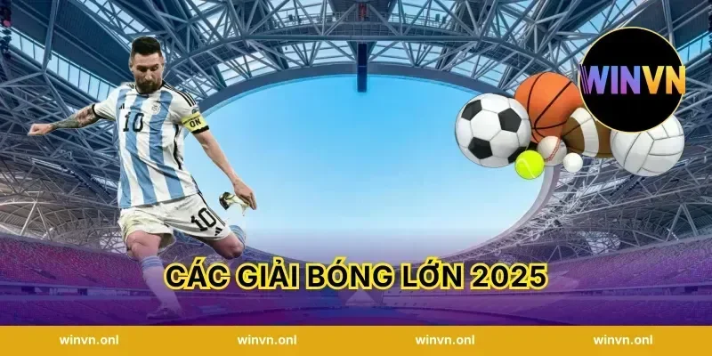 cac giai bong lon 2025